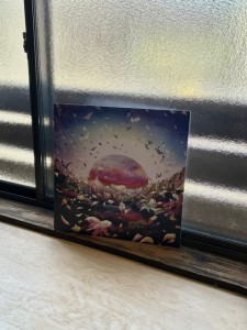 IMG_1863
